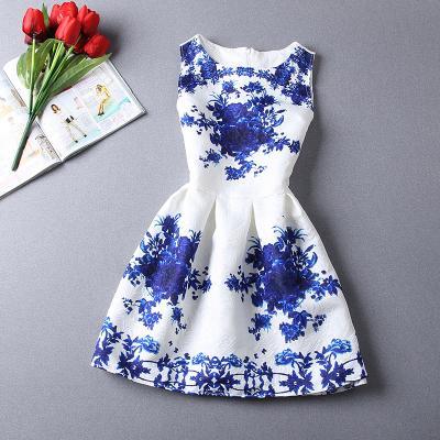 Porcelain Print Dress